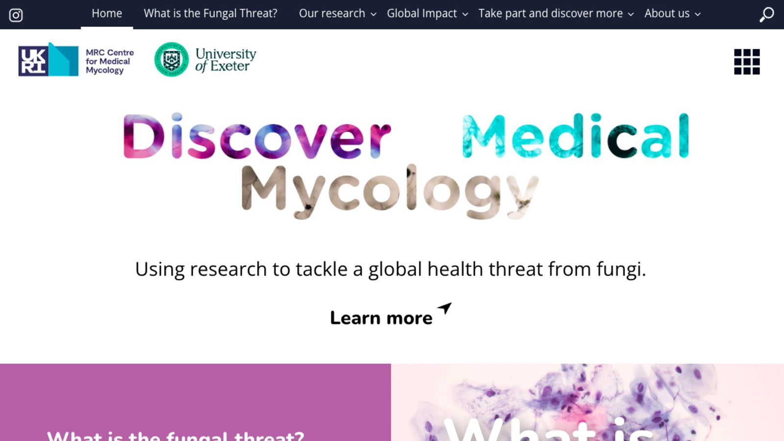 The Fungal Threat